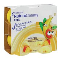 NUTRINI Creamy Fruit Sommerfrüchte