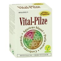 VITAL-PILZE Kapseln